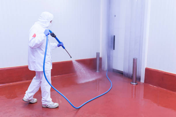 Best Machinery and Equipment Cleaning  in Ely, IA
